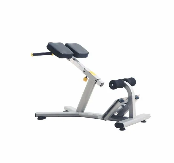 J-026 Extensión de la espalda de la silla romana y la máquina del gimnasio del entrenamiento del músculo